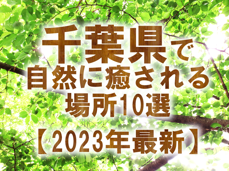 千葉県で自然に癒される場所10選【2023年最新】