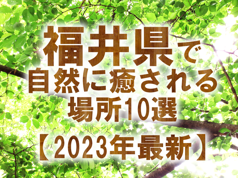 福井県で自然に癒される場所10選【2023年最新】