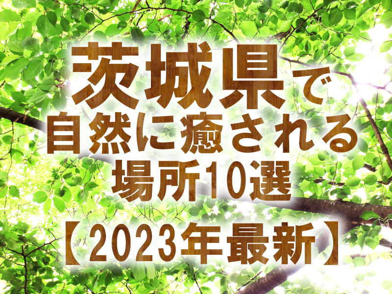 茨城県で自然に癒される場所10選【2023年最新】
