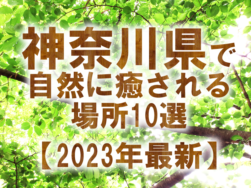 神奈川県で自然に癒される場所10選【2023年最新】
