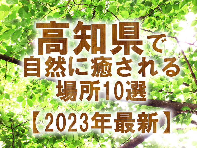 高知県で自然に癒される場所10選【2023年最新】