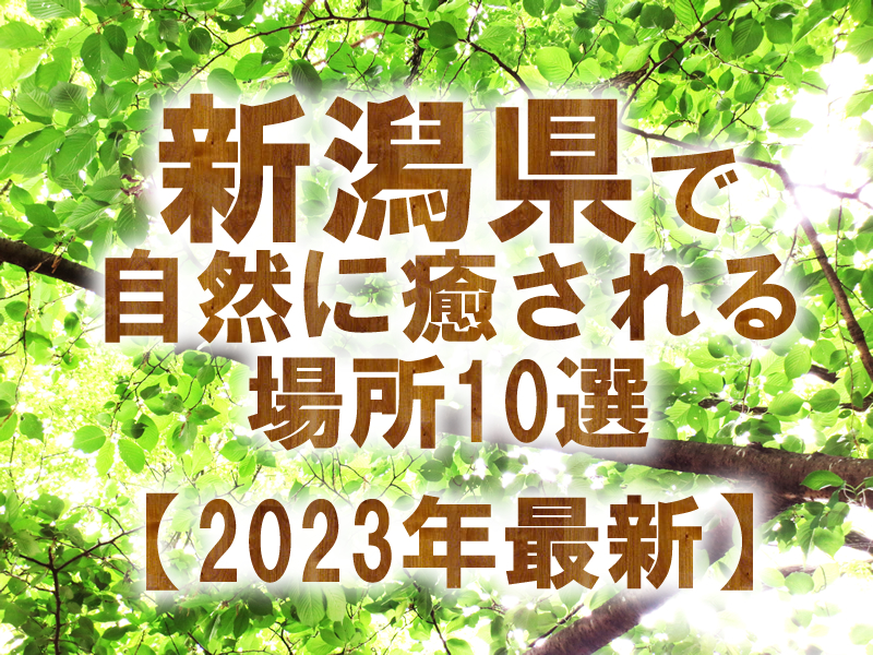 新潟県で自然に癒される場所10選【2023年最新】