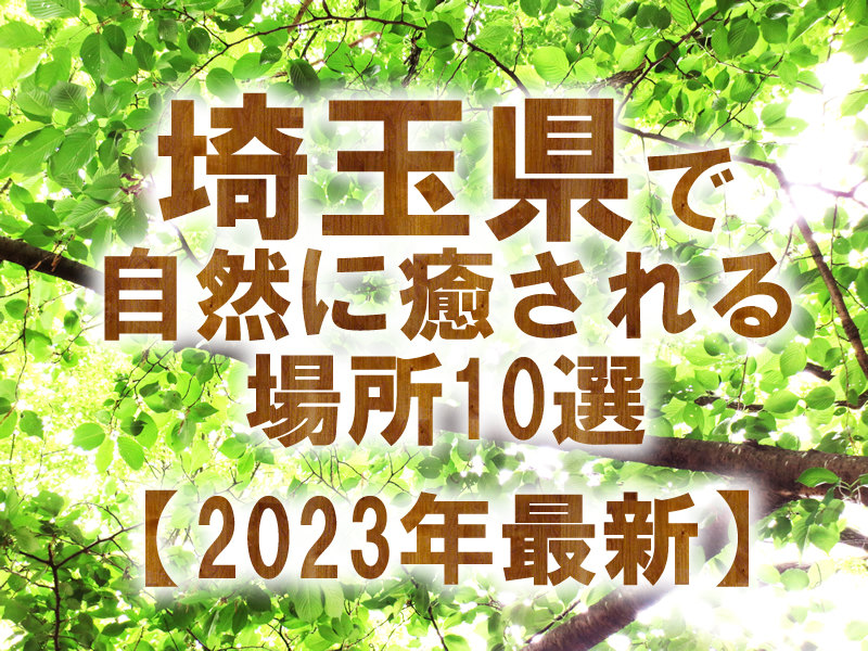 埼玉県で自然に癒される場所10選【2023年最新】