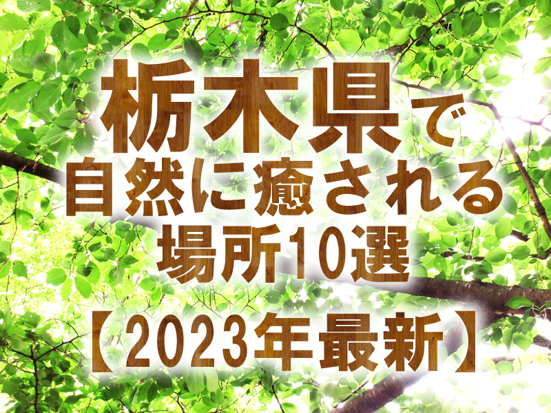 栃木県で自然に癒される場所10選【2023年最新】
