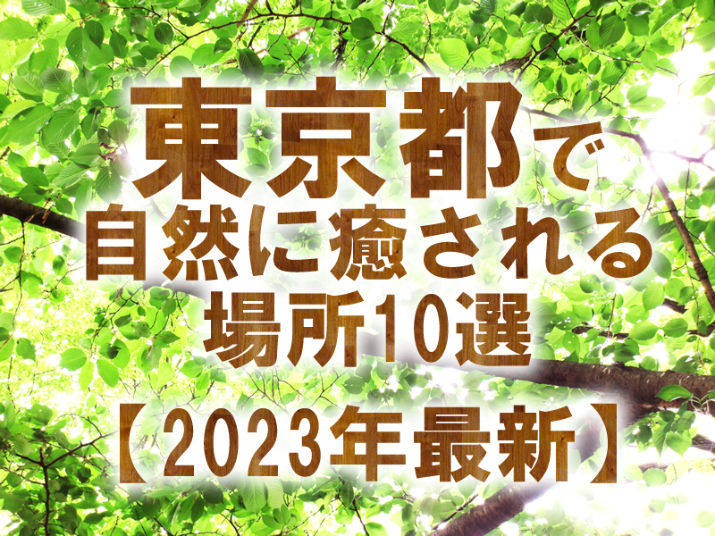 東京都で自然に癒される場所10選【2023年最新】