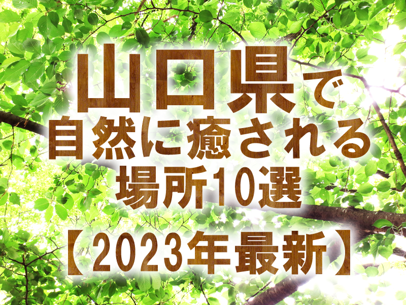 山口県で自然に癒される場所10選【2023年最新】